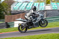 Middle Group Silver_Grey Bikes